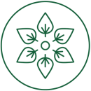 Vegan-protein_new растителен, веган протеин